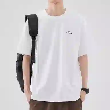 Hansca T