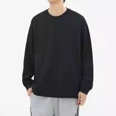 Hansca T