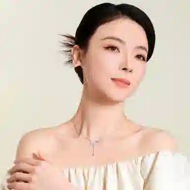 ins S925