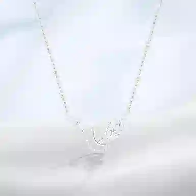 PRETTY DIARY ins S925