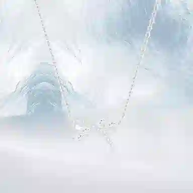 PRETTY DIARY ins S999