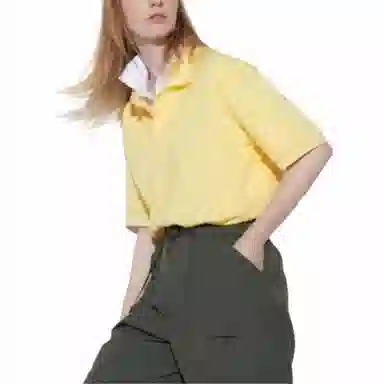 UNIQLO Polo