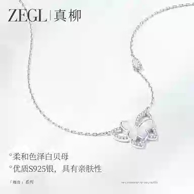 ZEGL S925 ins