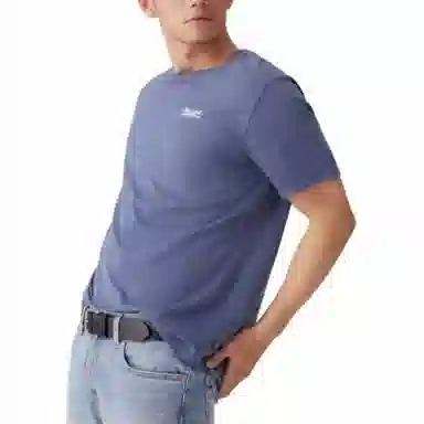 levis T