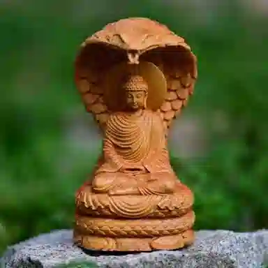 仙作美 蛇年吉祥物蛇护佛陀大日如来木雕家居客厅禅意装饰 崖柏 木作摆件 男女同款情侣款