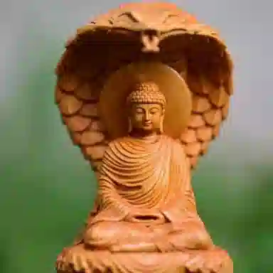 仙作美 蛇年吉祥物蛇护佛陀大日如来木雕家居客厅禅意装饰 崖柏 木作摆件 男女同款情侣款