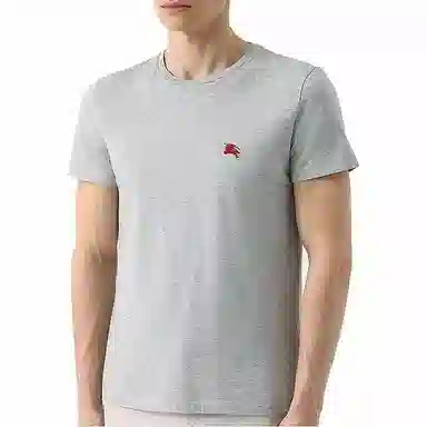 Burberry T