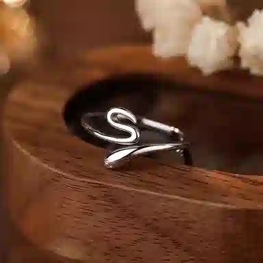 ins S925