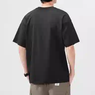 Hansca T