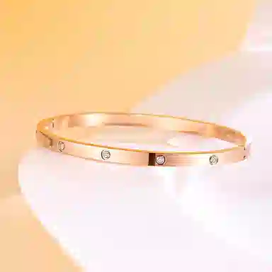 CENTURYKINDLE CK ins