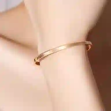 CENTURYKINDLE ck ins 316L