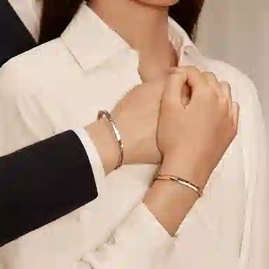 CENTURYKINDLE ck ins 316L