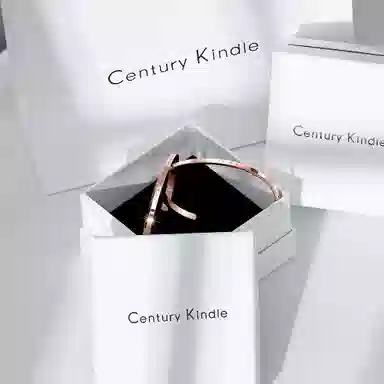 CENTURYKINDLE ck ins 316L