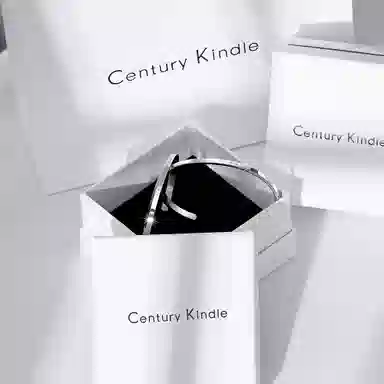 CENTURYKINDLE ck ins 316L