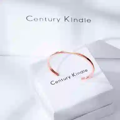 CENTURYKINDLE ck ins 316L