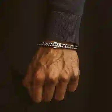 IDEAGEMER Dragon Spine Bracelet