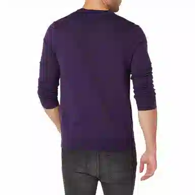 Polo Ralph Lauren LogoV