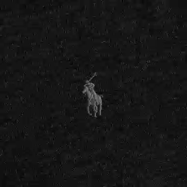Polo Ralph Lauren LogoV