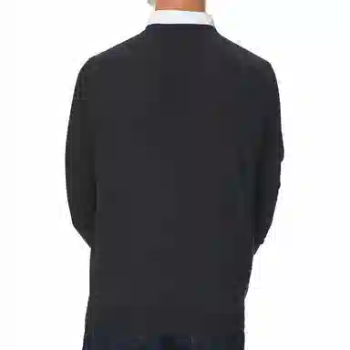 Polo Ralph Lauren LogoV