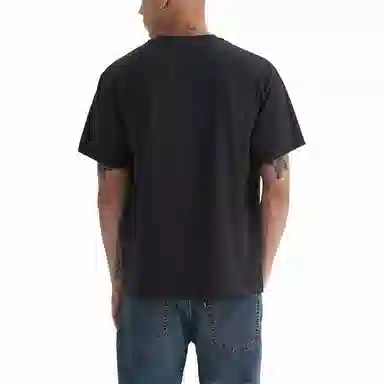 levis T