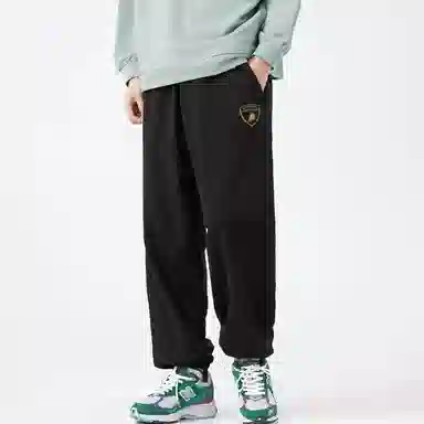 Automobili Lamborghini