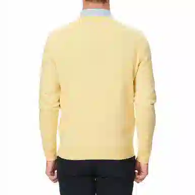 Polo Ralph Lauren FW23 V