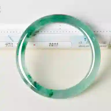 世存 新中式国风 平安富贵玉镯小众玉饰 独龙玉 手镯 女款