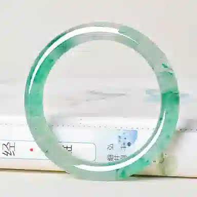 世存 新中式翠绿小众平安富贵镯轻奢玉饰 独龙玉 手镯 女款