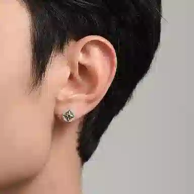 MYSH 925