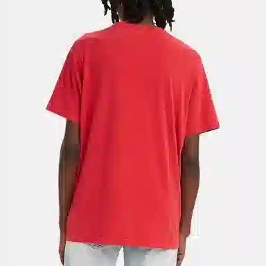 levis T