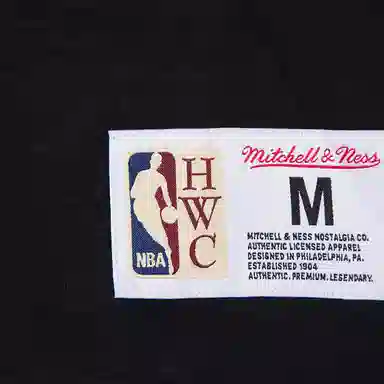 Mitchell Ness T