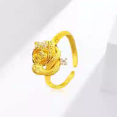 ins
