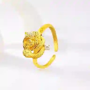 ins