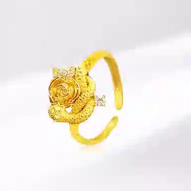 ins