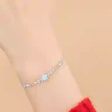 JOLLY SEASONS ins S925