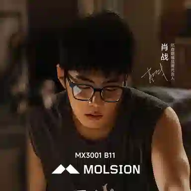 MOLSION