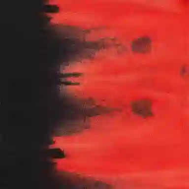 Supreme FW21 Bleached Hooded Sweatshirt