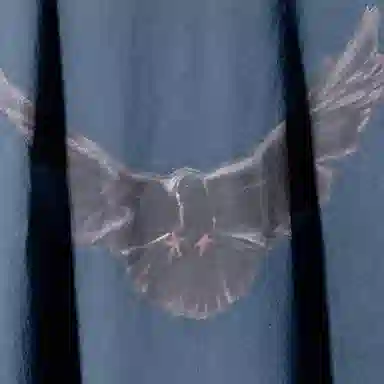 YEEZY x Gap x Balenciaga Dove Longsleeve Tee LogoT