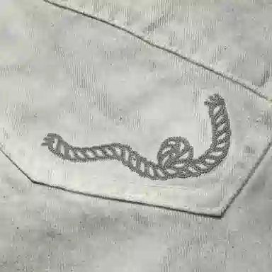 Aape