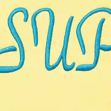 Supreme Script Hooded Sweatshirt