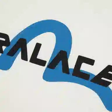 PALACE x EVISU LOGO SS24T