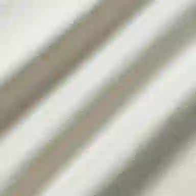 Burberry T