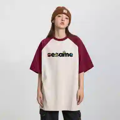 SESAME STREET T