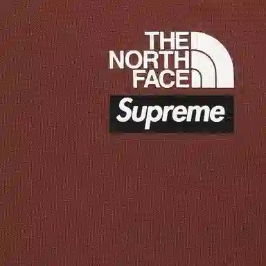 Supreme x The North Face Base Layer L/S Top