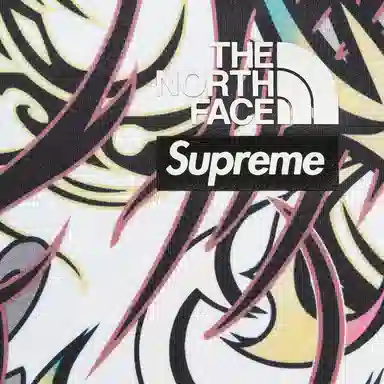 Supreme x The North Face Base Layer L/S Top