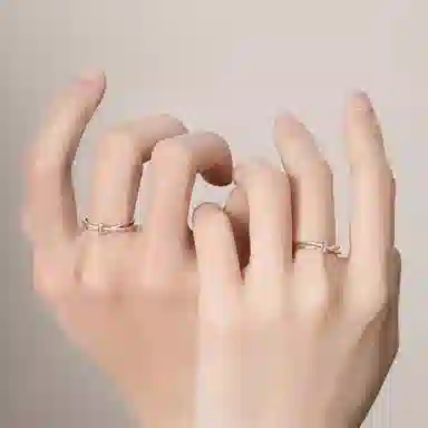BAGGL