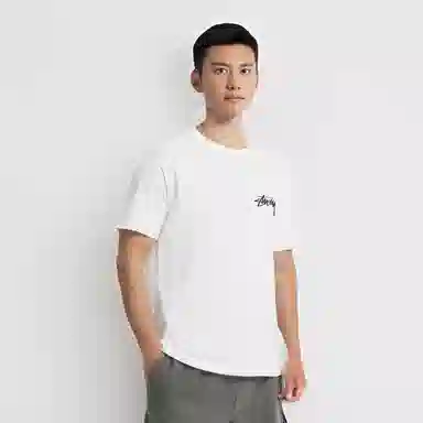 Stussy Livin Large Tee T