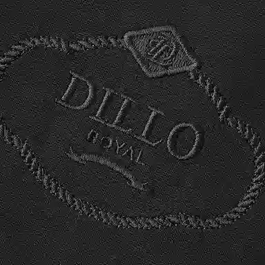 DILLO SS25 Logo
