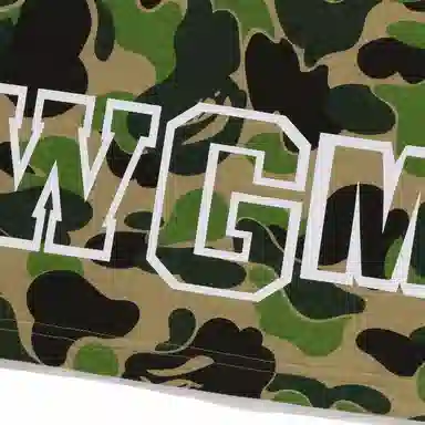 A BATHING APE Shark WGM Camo T-Shirt