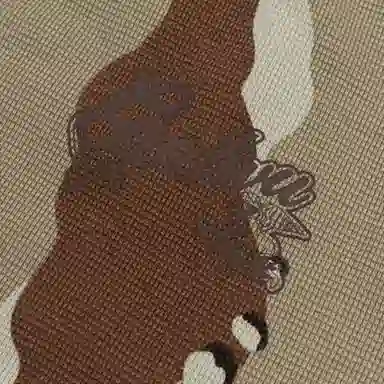 GRAF T